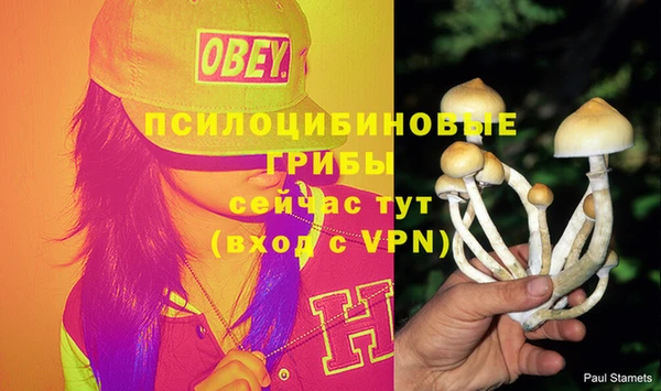 СК Абдулино