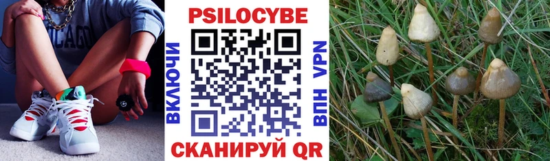 сколько стоит  Нелидово  hydra ONION  Галлюциногенные грибы Psilocybine cubensis 